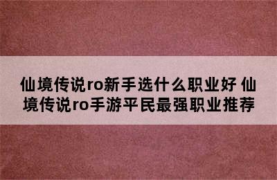 仙境传说ro新手选什么职业好 仙境传说ro手游平民最强职业推荐